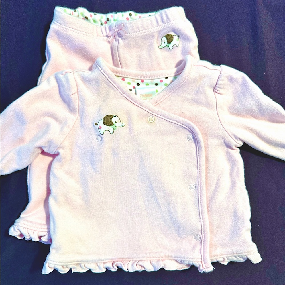 Gymboree Two Piece Outfit